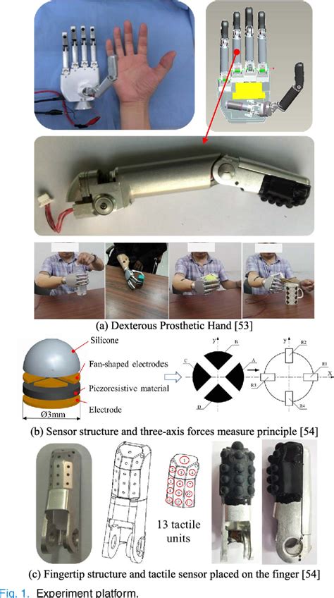 Designing a Lightweight and Dexterous Prosthetic Hand for .